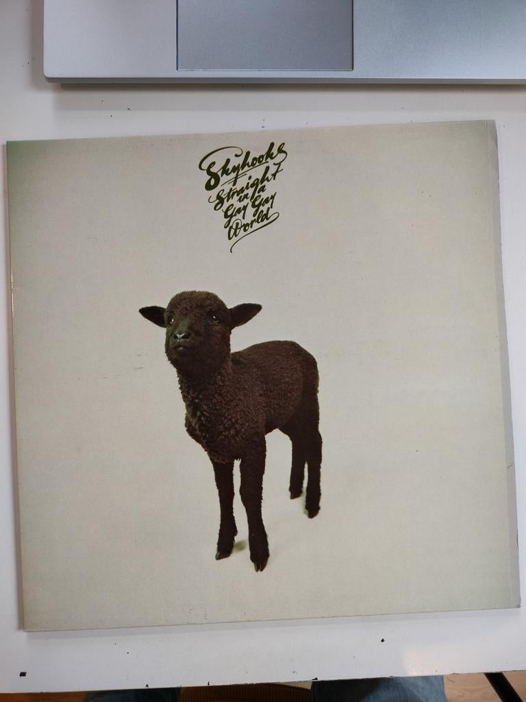 70's glam SKYHOOKS ; STRAIGHT IN A GAY GAY WORLD, Ophalen of Verzenden, 1970 - 1979, 12 inch, Poprock