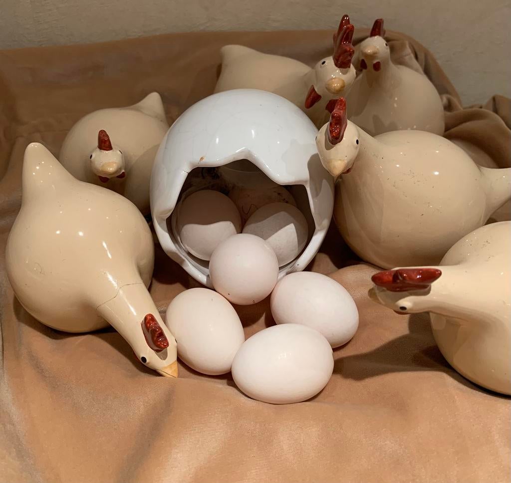 Broedeieren Serama gladveer en zijdeveer cat A en B, Geslacht onbekend, Kip