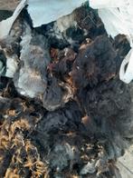 Schapenwol (gratis), Ophalen