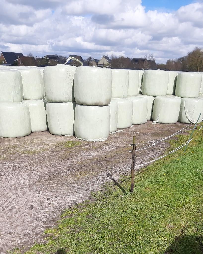 Hooibalen te koop, Dieren en Toebehoren, Ophalen, Vee