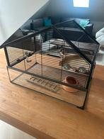 Knaagdier verblijf, Dieren en Toebehoren, Ophalen, Gebruikt, Minder dan 75 cm, Hok