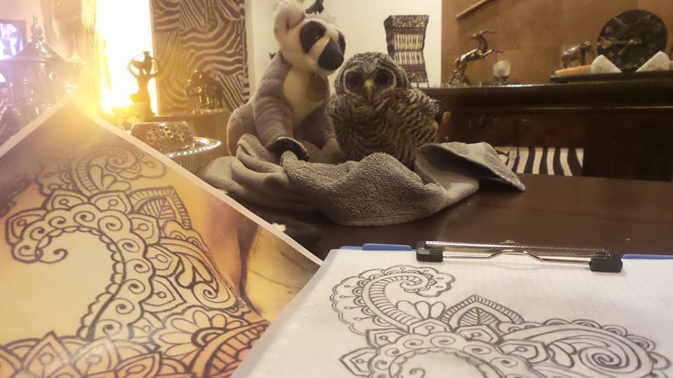 Nest jonge uilen, Meerdere dieren