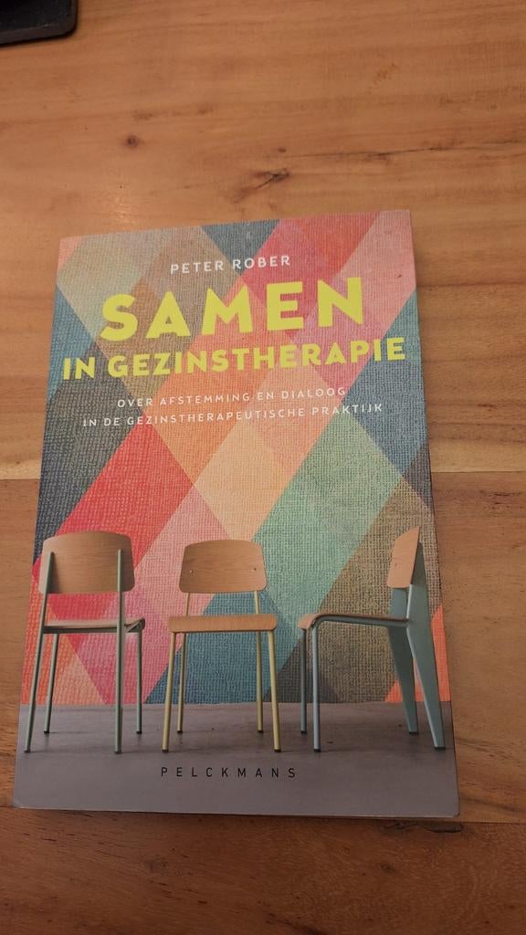 Peter Rober - Samen in gezinstherapie, Ophalen of Verzenden, Zo goed als nieuw, Peter Rober