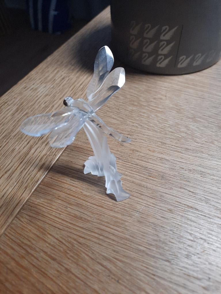 Swarovski. Libelle in originele box. Moeilijk te krijgen., Verzamelen, Ophalen, Figuurtje