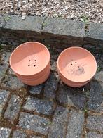 Gratis broedschalen voor duiven, Dieren en Toebehoren, Vogels | Duiven, Meerdere dieren, Postduif