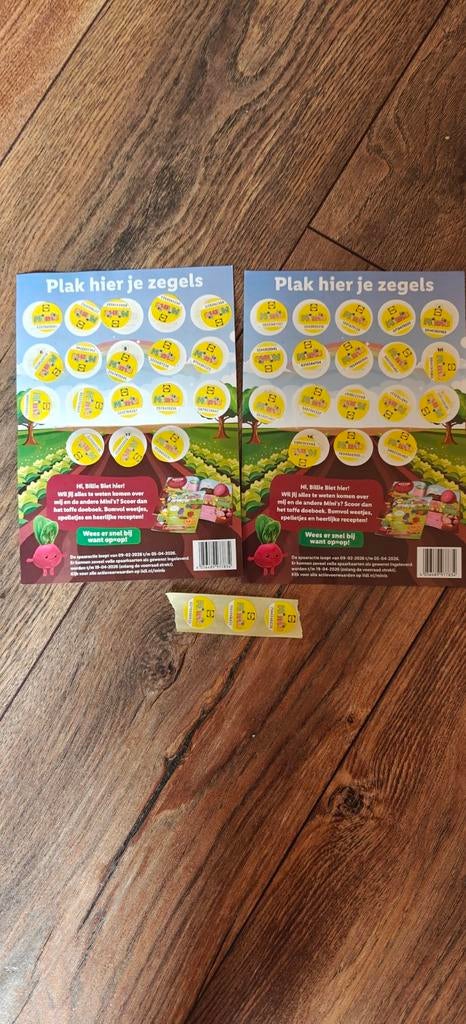 Twee volle Lidl mini's spaarkaarten + 3 zegels, Ophalen of Verzenden, Winkel, Super of Benzinepomp, Volle spaarkaart