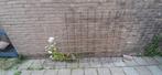 Beton gaas, Tuin en Terras, Gaas en Draad, Ophalen, Zo goed als nieuw, Minder dan 10 meter