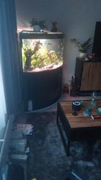 Mooi hoek aquarium wel zonder deksel., Dieren en Toebehoren, Ophalen, Zo goed als nieuw