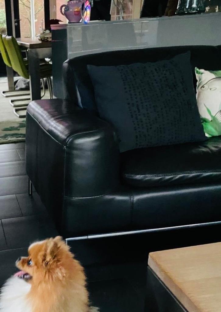 2 Moderne zwart lederen banken, Huis en Inrichting, Banken | Bankstellen, Gebruikt, Rechte bank, Driepersoons, 200 tot 250 cm