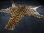 giraffe huiden giraf skin vloerkleed giraffe taxidermy, Ophalen of Verzenden, Gebruikt, Hert, Gewei of Kop