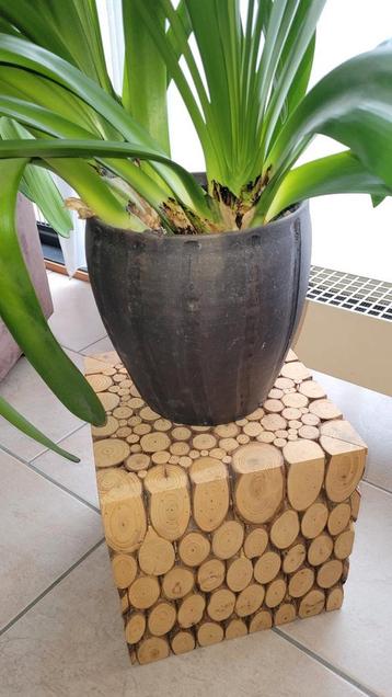 Plant met plantenpot en houten blok (30,5x30,5 cm) beschikbaar voor biedingen