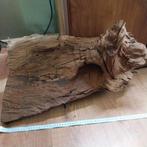 Groot en erg zwaar stuk aquariumhout / paludarium hout, Ophalen, Zo goed als nieuw, Plant(en), Steen of Hout