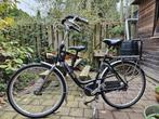 Gazelle bloom moederfiets / mamafiets, Ophalen, 2 zitjes, 53 tot 56 cm, Gebruikt