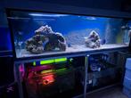 Zeewater aquarium inclusief apparatuur 230x80x65cm, Dieren en Toebehoren, Vissen | Aquaria en Toebehoren, Ophalen, Gebruikt, Leeg aquarium
