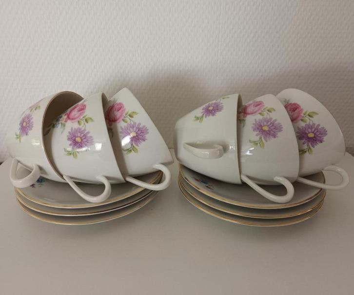 6 kop en schotel met anemonen en goudkleurige bies Bavaria, Antiek en Kunst, Antiek | Servies los, Ophalen of Verzenden