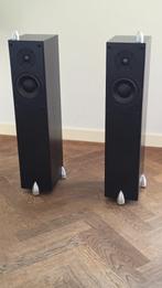 Totem Acoustic Forest Luidsprekers, Audio, Tv en Foto, Luidsprekers, Zo goed als nieuw, 120 watt of meer, Front, Rear of Stereo speakers