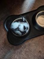 Lieve kittens alleen nog de poesjes, Dieren en Toebehoren, Katten en Kittens | Overige Katten, Meerdere dieren