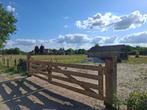 Weide (weiland) te huur in Wijchen, Dieren en Toebehoren, Stalling en Weidegang, Weidegang, 2 of 3 paarden of pony's