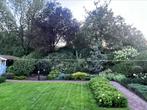 Complete beplanting achtertuin, bonsai, hortensia, witte den, Tuin en Terras, Planten | Struiken en Hagen, Ophalen, Esdoorn, 100 tot 250 cm