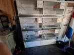Van Keulen broedkooien, Dieren en Toebehoren, Ophalen, Zo goed als nieuw, Hout, Vogelkooi