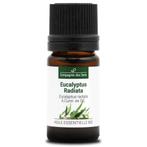 Eucalyptus radiata 5ml, Compagnie des Sens, Nieuw, Ophalen of Verzenden, Info@aromachaya.com