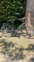 Giant Chill Damesfiets - Zo goed als nieuw!, Ophalen, Versnellingen, Giant, 53 tot 56 cm