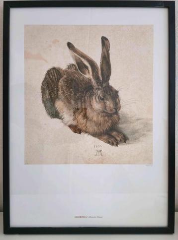 Albrecht Dürer Junger Hase Albertina Museum Wien (NIEUW) beschikbaar voor biedingen