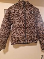 Raizzed winterjas maat 152, Raizzed, Ophalen of Verzenden, Zo goed als nieuw, Maat 34 (XS) of kleiner