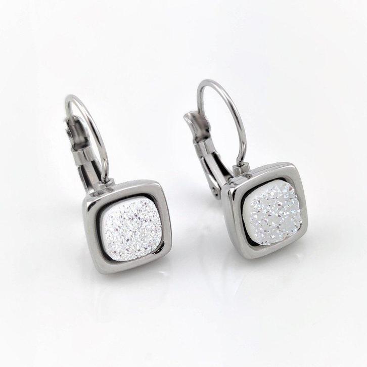 RVS Klap Oorbellen met Wit-Blauwig Glitter - Dames, Sieraden, Tassen en Uiterlijk, Oorbellen, Nieuw, Hangers, Overige materialen