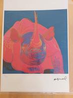 Andy Warhol - Rhino 117/125, Ophalen of Verzenden