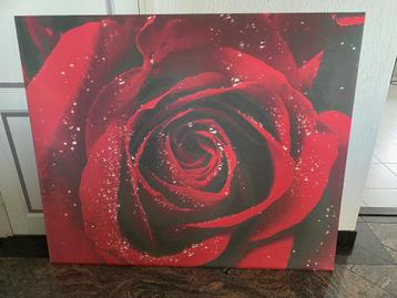 Poster op canvas beschikbaar voor biedingen