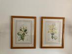 Laura Ashley schilderij botanische bloem 2 stuks vintage, Antiek en Kunst, Ophalen