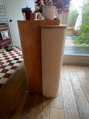 Krabpaal kat beschikbaar voor biedingen