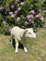 (Tuin)Beeld texel schaap lammetje, tuin, boerderij 60 cm, Ophalen, Nieuw, Kunststof, Dierenbeeld