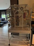 Papegaaienkooi, Ophalen, Zo goed als nieuw, Metaal, Vogelkooi