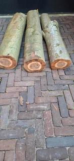 Draaihout, Doe-het-zelf en Verbouw, Ophalen, Minder dan 200 cm