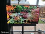 LG OLED 55 inch B6, Ophalen, Gebruikt, 120 Hz, 100 cm of meer