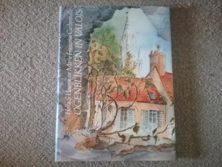 Hella S. Haasse / Ogenblikken in Valois (1982), Boeken, Literatuur, Zo goed als nieuw, Nederland, Ophalen of Verzenden