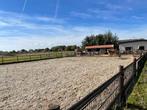 Stalling 24/7 buiten, Dieren en Toebehoren, Weidegang