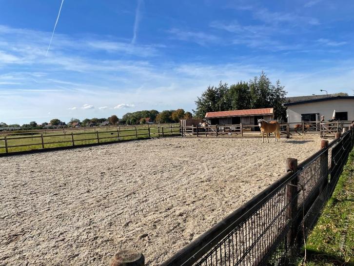 Stalling 24/7 buiten, Dieren en Toebehoren, Stalling en Weidegang, Stalling, Weidegang