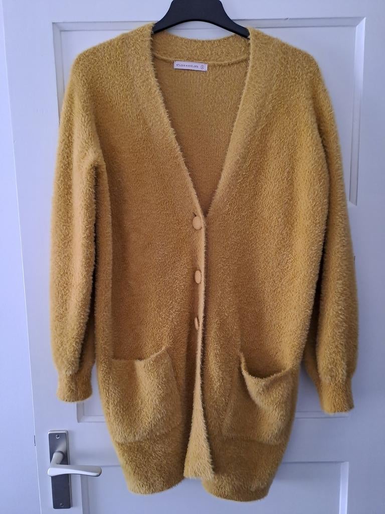 Studio Anneloes vest maat S, Studio Anneloes, Geel, Ophalen of Verzenden, Zo goed als nieuw