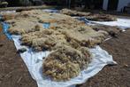 Schapenwol Spinnen spinnewielen spinwol uit geselecteerd 3KG, Ophalen of Verzenden, Nieuw, Spinnewiel