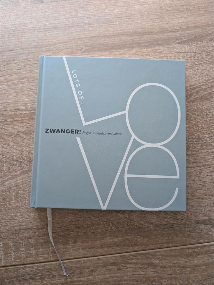 Zwanger! Negen-maanden-invulboek, Boeken, Zwangerschap en Opvoeding, Zo goed als nieuw, Zwangerschap en Bevalling, Ophalen of Verzenden