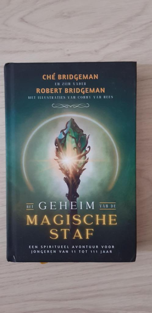 Het geheim van de magische staf - Ché en Robert Bridgeman, Boeken, Romans, Zo goed als nieuw, Ophalen of Verzenden