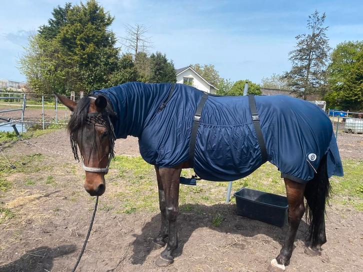 eczeemdeken 205, Dieren en Toebehoren, Paarden en Pony's | Dekens en Dekjes, Gebruikt, Deken, Ophalen of Verzenden