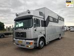 MAN 19 FLL PAARDENWAGEN , APK 27-02-2026, Auto's, Euro 2, MAN, Origineel Nederlands, Diesel