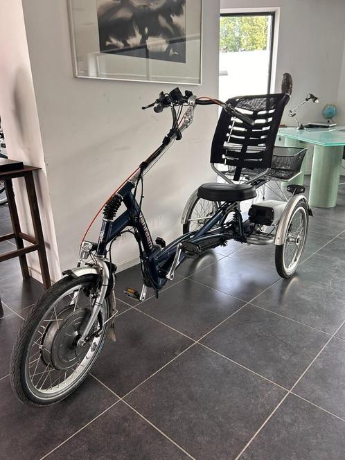 easy rider Van Raam DEELBAAR frame en garantie, Fietsen en Brommers, Fietsen | Cruisers en Lowriders, Zo goed als nieuw, Overige typen