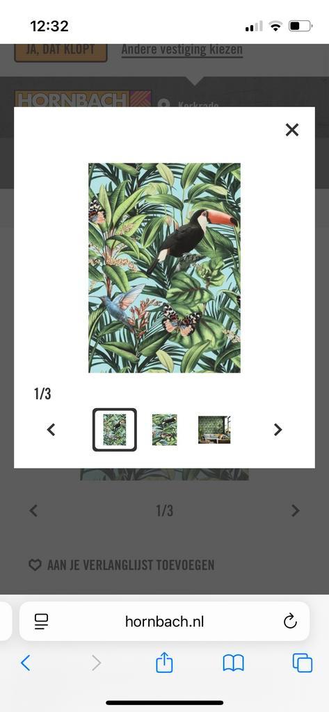 Erisman Behang - 2 Rollen Nieuw!, Huis en Inrichting, Stoffering | Behang, Groen, minder dan 10 m², Ophalen