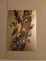 Oude ansichtkaart groene specht, Ophalen of Verzenden