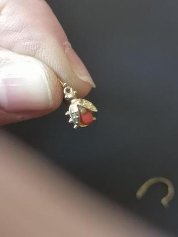 Antieke Gouden (kinder) oorbelletjes met bloedkoraal beschikbaar voor biedingen